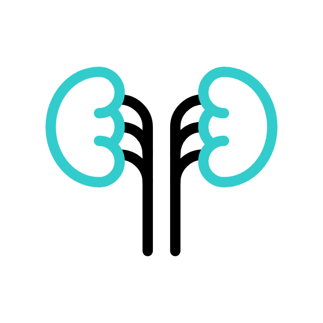 Nephrology 